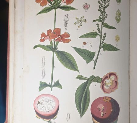 Nature books