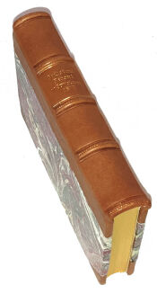 FRONIA- O HODOWLI DRZEW I KRZEWÓW OWOCOWYCH Lwów 1908 - 2