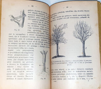 FRONIA- O HODOWLI DRZEW I KRZEWÓW OWOCOWYCH Lwów 1908 - 7