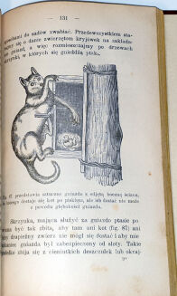 FRONIA- O HODOWLI DRZEW I KRZEWÓW OWOCOWYCH Lwów 1908 - 8