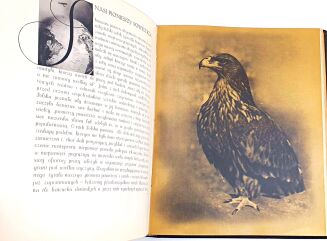 ROMEYKO - POLSKA LOTNICZA wyd. 1937r. egzemplarz specjalny, oryginalne grafiki, aksamit - 15