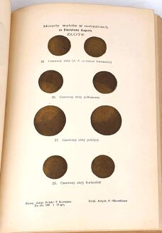 KORZON- WEWNETRZNE DZIEJE POLSKI ZA ST. AUGUSTA wyd. 1897r. t. I-VI [komplet] półskórek - 16