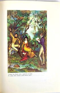 MICKIEWICZ- PAN TADEUSZ ilustracje Szancer SKÓRA - 5