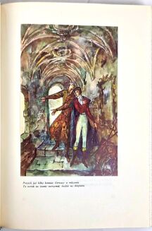 MICKIEWICZ- PAN TADEUSZ ilustracje Szancer SKÓRA - 6