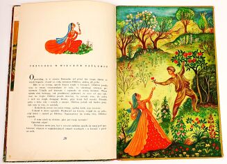 KSIĘGA PAPUGI ilustr. Szancer wyd. 1951r. - 8