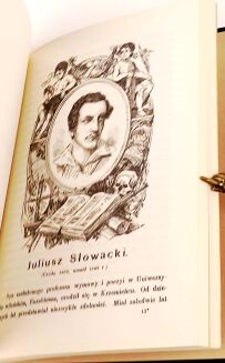 WÓJCICKI -Z RODZINNEJ ZAGRODY WOJCICKI 1-2 oprawa Kurtiak i Ley - 6