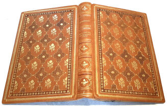 FALKOWSKI - OBRAZY Z ŻYCIA KILKU OSTATNICH POKOLEŃ W POLSCE. t.1-5 [komplet w 5 wol.] skóra Napoleon - 7