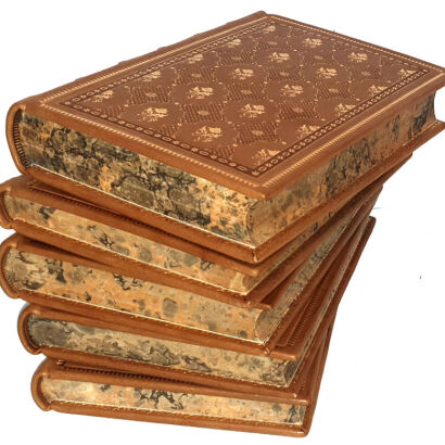 FALKOWSKI - OBRAZY Z ŻYCIA KILKU OSTATNICH POKOLEŃ W POLSCE. t.1-5 [komplet w 5 wol.] skóra Napoleon