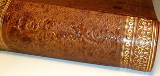 HAGER- WYKŁAD CHEMII FARMACEUTYCZNEJ wyd.1889 - 3