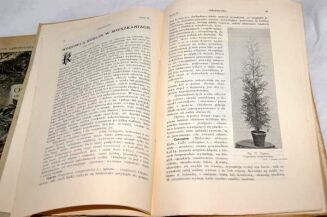 OGRODNICTWO Rocznik 1908r. red. BRZEZIŃSKI ilustracje - 5