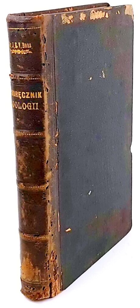BOAS- PODRĘCZNIK ZOOLOGII 1893 setki rycin