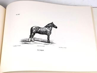 CZAPSKI - HISTORYA POWSZECHNA KONIA. ATLAS reprint - 6