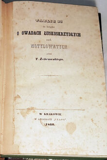 ŻEBRAWSKI- OWADY ŁUSKOSKRZYDŁE wyd. 1860 ryciny - 3