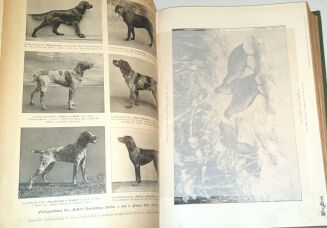 WILD UND HUND. Illustrierte Jagdzeitung 14. Jahrgang. 1908 - 6