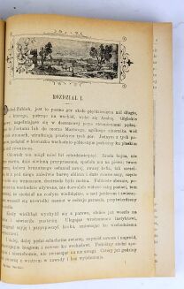 WALLACE- BEN HUR. Wyd. ilustrowane 1901 - 5