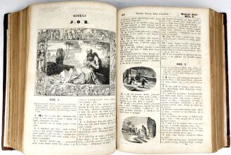 WUJEK- BIBLIA to jest KSIĘGI STAREGO TESTAMENTU 1858 - 10