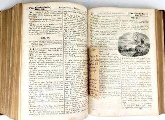 WUJEK- BIBLIA to jest KSIĘGI STAREGO TESTAMENTU 1858 - 11