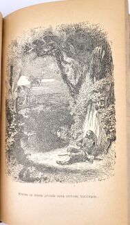 DEFOE - PRZYPADKI ROBINSONA KRUZOE ilustr. Grandville'a wyd.1954r. - 12