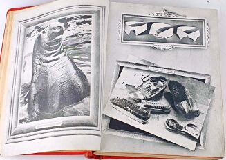 SKAMANDER - 9 issues, 1935. BRUNO SCHULZ, GOMBROWICZ FERDYDURKE - 11