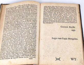 AKTA PUBLICZNE DO INTERESSU ORDYNACYI OSTROGSKIEY NALEZACE 1754 - 25