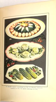 NOWOCZESNA KUCHNIA DOMOWA wyd.1932r. - 6