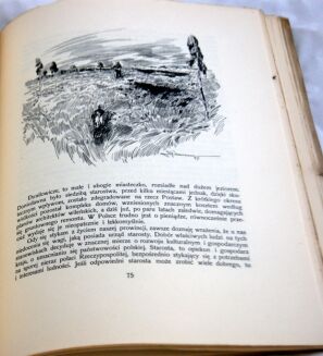 KRZYWOSZEWSKI - Z PRZEŻYĆ I WRAŻEŃ MYŚLIWSKICH wyd. 1927r. z 24 rysunkami MACKIEWICZA - 6