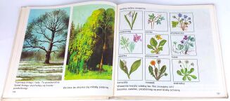 POZNAJĘ ŚWIAT Książka dla dzieci 6-8 letnich 1985 - 4