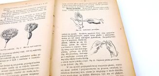 PRZEMYSŁ AMATORSKI wyd. 1890 papier i tkaniny, ziemia, wosk, szkło, porcelana, drzewo-metale, introligatorstwo, stolarstwo, zegarmistrzostwo - 5