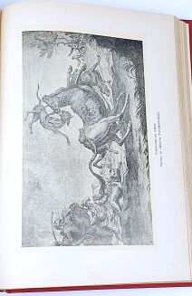 ŁOZIŃSKI- ŻYCIE POLSKIE W DAWNYCH WIEKACH wyd. 1937r. ilustracje OPRAWA - 24