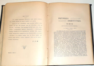 WIŚNIEWSKI - DEKANAT IŁŻECKI - 9