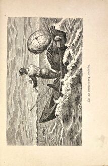 DEFOE - PRZYPADKI ROBINSONA KRUZOE wyd. 1933 - 6