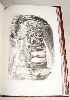 MICKIEWICZ- KONRAD WALLENROD I GRAŻYNA wyd. Jana Tysiewicza Sankt Petersburg 1863 - 15