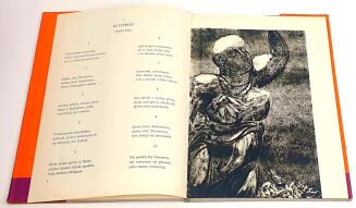 GAŁCZYŃSKI- NIOBE - 4