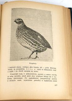 KRAWCZYŃSKI- ŁOWIECTWO Podręcznik dla leśników i myśliwych  wyd. 1947 - 14