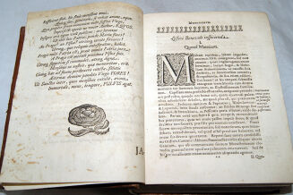 KRONIKA CZECH, MORAW I ŚLĄSKA wyd. 1667 polonica - 14