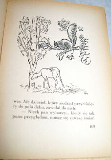 SALTEN - BAMBI wyd. 1 z 1937 ilustr. - 2