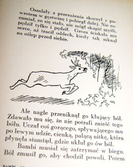 SALTEN - BAMBI wyd. 1 z 1937 ilustr. - 5