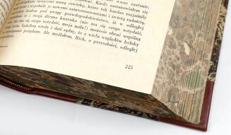 DICKENS - DZIEŁA [kolekcja w półskórzanej oprawie, komplet w 21 wol.] - 17