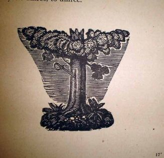 TETMAJER- LEGENDA TATR. MARYNA Z HRUBEGO. JANOSIK NĘDZA LITMANOWSKI. DRZEWORYTY SKOCZYLASA  - 3