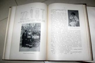 CZECHOWSKI; GLOGER - OPIS ZIEM ZAMIESZKANYCH PRZEZ POLAKÓW wyd. 1904r. Tom I-II [komplet] OPRAWA WYDAWNICZA ilustracje - 11