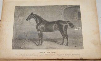 LEHNDORFF - PRZEWODNIK DLA  HODOWCÓW KONI wyd.1885r. drzeworyty - 2