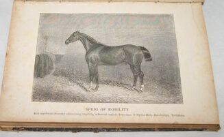 LEHNDORFF - PRZEWODNIK DLA  HODOWCÓW KONI wyd.1885r. drzeworyty - 4