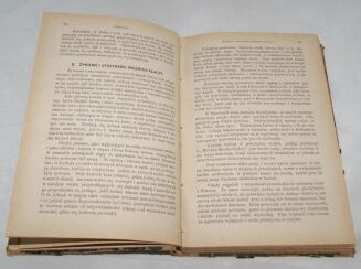 LEHNDORFF - PRZEWODNIK DLA  HODOWCÓW KONI wyd.1885r. drzeworyty - 5