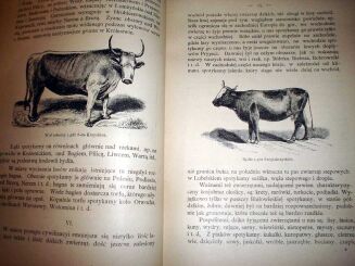 GLOGER; JANOWSKI- KRÓLESTWO POLSKIE wyd. 1905r. - 3