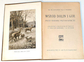 WYROBEK- WŚRÓD DOLIN I GÓR : PRZECHADZKI PRZYRODNICZE ozdobione i objaśnione w tekście 13 tablicami barwnemi i 152 rycinami - 2