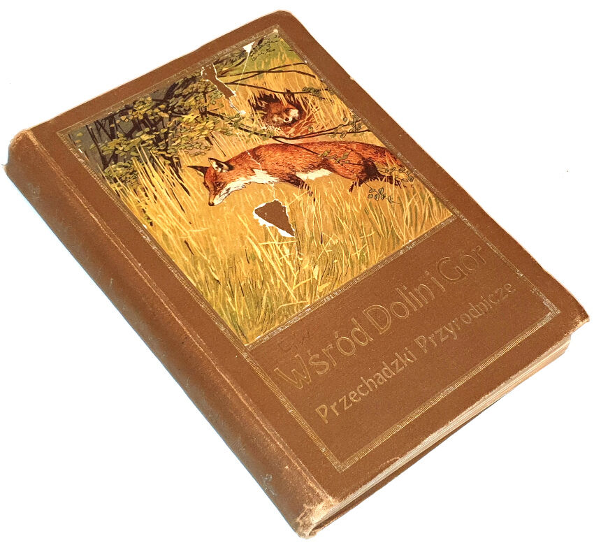 WYROBEK- WŚRÓD DOLIN I GÓR : PRZECHADZKI PRZYRODNICZE ozdobione i objaśnione w tekście 13 tablicami barwnemi i 152 rycinami