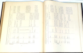 MANTEUFFEL- INFLANTY POLSKIE wyd. 1879 - 5