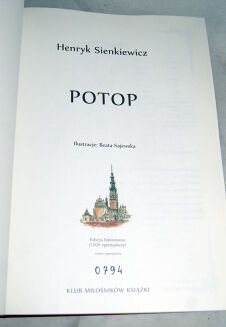SIENKIEWICZ- POTOP skóra ilustracje Beata Sajewska - 3