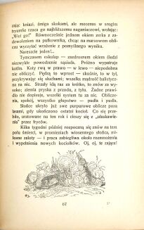 JANTA-POŁCZYŃSKI- RAMOTY MYŚLIWSKIE - 4