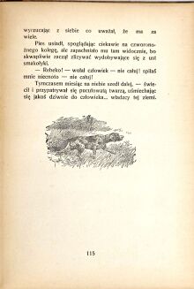JANTA-POŁCZYŃSKI- RAMOTY MYŚLIWSKIE - 6